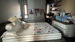 Opera Estate (D15), Detached #465420371